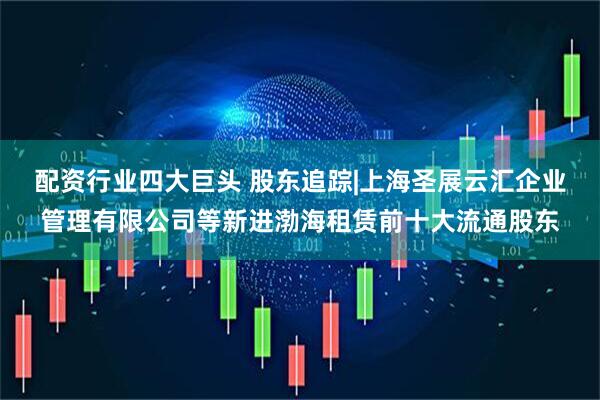 配资行业四大巨头 股东追踪|上海圣展云汇企业管理有限公司等新进渤海租赁前十大流通股东