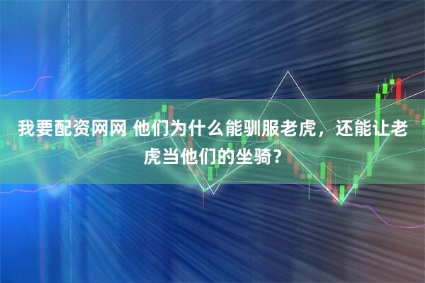 我要配资网网 他们为什么能驯服老虎，还能让老虎当他们的坐骑？
