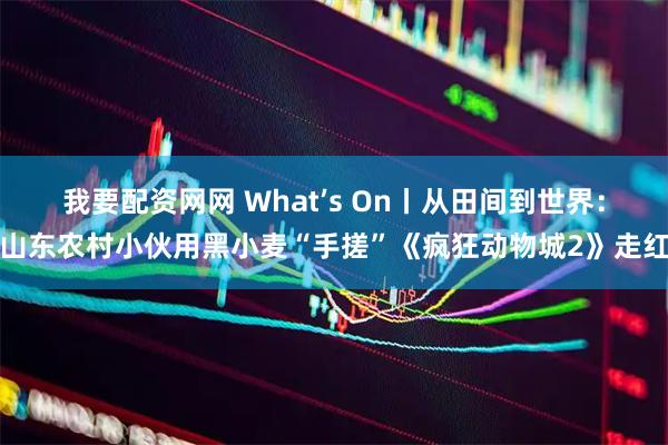 我要配资网网 What’s On丨从田间到世界：山东农村小伙用黑小麦“手搓”《疯狂动物城2》走红
