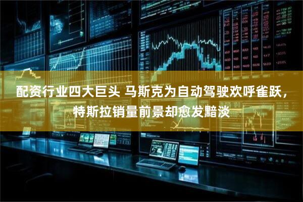 配资行业四大巨头 马斯克为自动驾驶欢呼雀跃，特斯拉销量前景却愈发黯淡