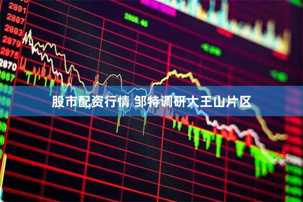股市配资行情 邹特调研大王山片区