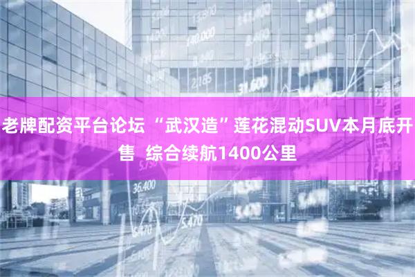 老牌配资平台论坛 “武汉造”莲花混动SUV本月底开售  综合续航1400公里