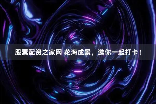 股票配资之家网 花海成景，邀你一起打卡！